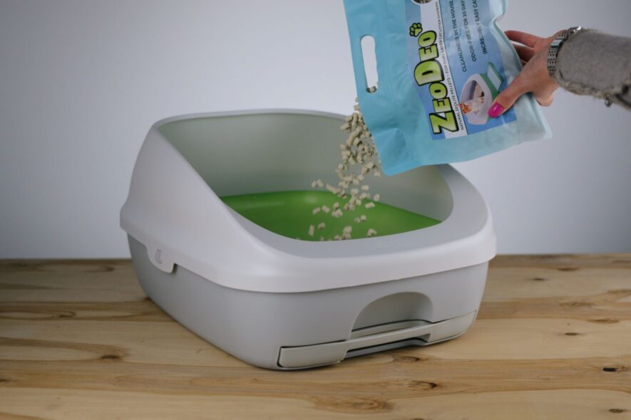 Product That Divided Life with a Cat Into “Before” And “After” Zeodeo