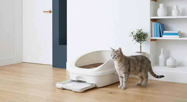 sleek-and-minimalist-cat-litter-box-area-in-a-modern-bright-laundry-room-with-a-clean-cat