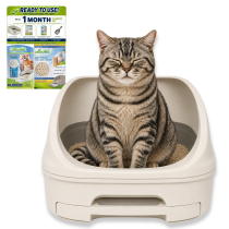 ZeoDeo classic dual layer cat litter system starter set oyster white collor with cat front main (2)